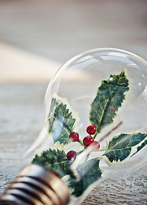 포토 JPG 백그라운드 크리스마스장식 크리스마스 전구 나뭇잎 사람없음 오브젝트 나뭇잎모양 국내포토 모양 기념일 잎 파일형식