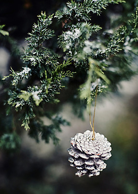 포토 JPG 백그라운드 크리스마스장식 크리스마스 사람없음 야외 아웃포커스 크리스마스트리 솔방울 국내포토 기념일 촬영기법 파일형식