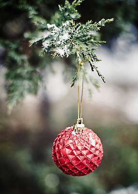 포토 JPG 백그라운드 크리스마스장식 크리스마스 사람없음 야외 아웃포커스 크리스마스트리 오너먼트 국내포토 기념일 촬영기법 파일형식