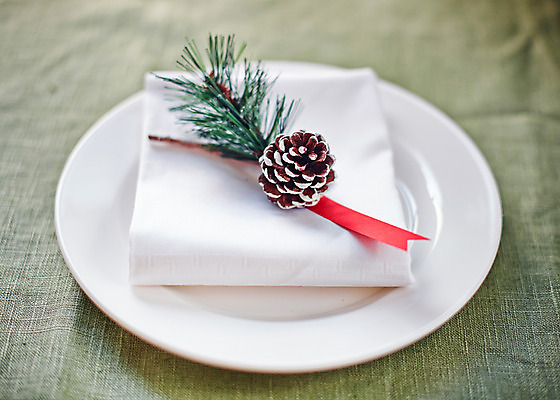 포토 JPG 접시 백그라운드 크리스마스장식 크리스마스 사람없음 상차림 오브젝트 냅킨 솔방울 솔잎 국내포토 식기 기념일 잎 파일형식