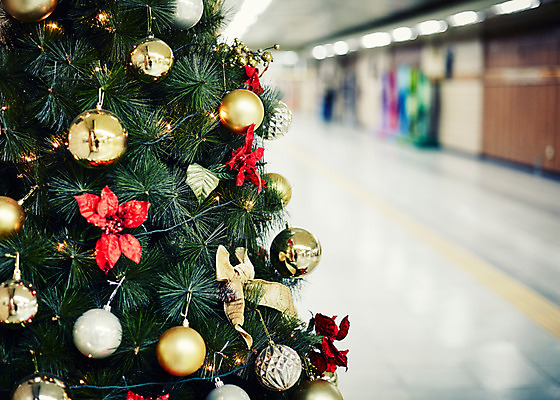 포토 JPG 백그라운드 크리스마스장식 크리스마스 실내 사람없음 아웃포커스 크리스마스트리 오너먼트 국내포토 기념일 촬영기법 내부 파일형식
