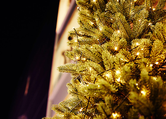 포토 JPG 백그라운드 크리스마스장식 크리스마스 전구 사람없음 야외 크리스마스트리 야간 꼬마전구 국내포토 자연요소 기념일 파일형식