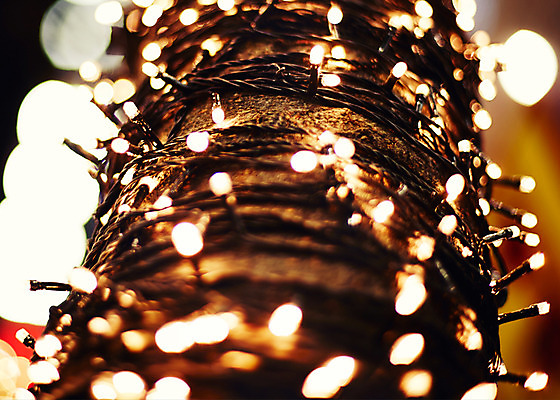 포토 JPG 백그라운드 크리스마스장식 크리스마스 전구 사람없음 야외 야간 보케 꼬마전구 국내포토 자연요소 기념일 파일형식