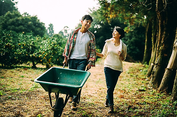 포토 JPG 주간 전신 나무 부부 여자 남자 성인 야외 두명 앞모습 30대 제주도 농장 걷기 다정 수레 한국인 부부라이프 성인만 국내포토 자연요소 식물 라이프스타일 커플 뷰포인트 컨셉 농업 모션 한국 사람 동양인 장년 카트 파일형식