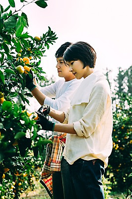 포토 JPG 주간 부부 여자 남자 귤 서기 미소 상반신 성인 야외 두명 옆모습 30대 제주도 농장 다정 한국인 수확 부부라이프 성인만 국내포토 자연요소 라이프스타일 커플 뷰포인트 컨셉 농업 과일 모션 한국 표정 사람 동양인 장년 파일형식