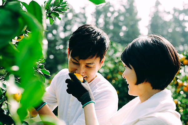 포토 JPG 주간 부부 여자 남자 귤 서기 미소 상반신 성인 야외 두명 옆모습 30대 제주도 농장 다정 한국인 수확 부부라이프 성인만 국내포토 자연요소 라이프스타일 커플 뷰포인트 컨셉 농업 과일 모션 한국 표정 사람 동양인 장년 파일형식