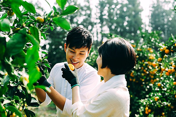 포토 JPG 주간 부부 여자 남자 귤 서기 미소 상반신 성인 야외 두명 옆모습 30대 제주도 농장 다정 한국인 수확 부부라이프 성인만 국내포토 자연요소 라이프스타일 커플 뷰포인트 컨셉 농업 과일 모션 한국 표정 사람 동양인 장년 파일형식