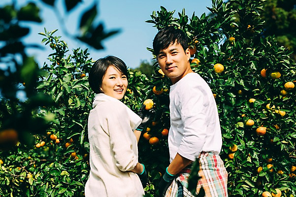 포토 JPG 주간 부부 여자 남자 귤 서기 미소 상반신 성인 야외 두명 뒷모습 30대 제주도 농장 다정 한국인 수확 뒤돌아보기 부부라이프 성인만 국내포토 자연요소 라이프스타일 커플 뷰포인트 컨셉 농업 과일 모션 한국 표정 사람 동양인 장년 파일형식