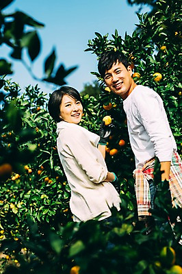 포토 JPG 주간 부부 여자 남자 귤 서기 미소 상반신 성인 야외 두명 뒷모습 30대 제주도 농장 다정 한국인 수확 뒤돌아보기 부부라이프 성인만 국내포토 자연요소 라이프스타일 커플 뷰포인트 컨셉 농업 과일 모션 한국 표정 사람 동양인 장년 파일형식