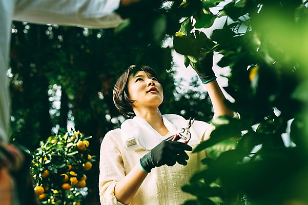 포토 JPG 주간 여자 귤 한명 서기 미소 성인 야외 앞모습 30대 제주도 농장 한국인 수확 즐거움 성인여자만 성인만 국내포토 자연요소 1 감정 뷰포인트 농업 과일 모션 한국 표정 사람 동양인 장년 여자만 파일형식
