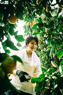 포토 JPG 주간 여자 귤 한명 서기 미소 성인 야외 앞모습 30대 제주도 농장 한국인 수확 즐거움 성인여자만 성인만 국내포토 자연요소 1 감정 뷰포인트 농업 과일 모션 한국 표정 사람 동양인 장년 여자만 파일형식