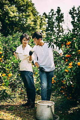 포토 JPG 주간 전신 부부 여자 남자 귤 서기 미소 성인 야외 두명 앞모습 30대 제주도 농장 다정 한국인 수확 부부라이프 성인만 국내포토 자연요소 라이프스타일 커플 뷰포인트 컨셉 농업 과일 모션 한국 표정 사람 동양인 장년 파일형식