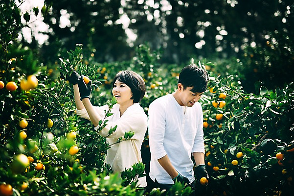 포토 JPG 주간 부부 여자 남자 귤 서기 미소 상반신 성인 야외 두명 앞모습 30대 제주도 농장 다정 한국인 수확 즐거움 부부라이프 성인만 국내포토 자연요소 라이프스타일 커플 감정 뷰포인트 컨셉 농업 과일 모션 한국 표정 사람 동양인 장년 파일형식