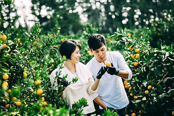포토 JPG 주간 부부 여자 남자 귤 서기 미소 상반신 성인 야외 두명 앞모습 30대 제주도 농장 다정 한국인 수확 즐거움 부부라이프 성인만 국내포토 자연요소 라이프스타일 커플 감정 뷰포인트 컨셉 농업 과일 모션 한국 표정 사람 동양인 장년 파일형식