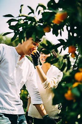 포토 JPG 주간 부부 여자 남자 서기 미소 상반신 성인 야외 두명 앞모습 30대 제주도 농장 다정 한국인 수확 즐거움 부부라이프 성인만 국내포토 자연요소 라이프스타일 커플 감정 뷰포인트 컨셉 농업 모션 한국 표정 사람 동양인 장년 파일형식