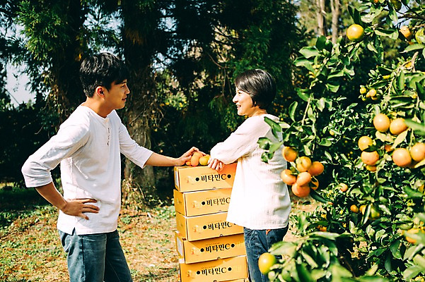 포토 JPG 주간 부부 여자 남자 휴식 귤 서기 미소 상반신 성인 야외 두명 옆모습 30대 상자 제주도 농장 다정 한국인 부부라이프 성인만 국내포토 자연요소 라이프스타일 커플 뷰포인트 컨셉 농업 과일 모션 한국 표정 사람 동양인 장년 파일형식