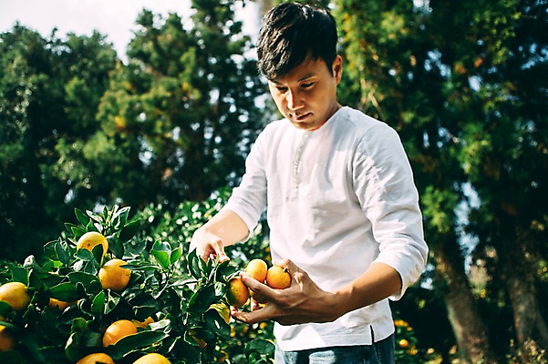 포토 JPG 주간 남자 귤 한명 서기 들기 상반신 성인 야외 앞모습 30대 제주도 농장 한국인 수확 집중 남자만 성인남자만 국내포토 자연요소 1 뷰포인트 컨셉 농업 과일 모션 한국 사람 동양인 장년 성인만 파일형식
