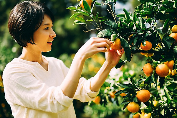 포토 JPG 주간 여자 귤 한명 서기 미소 상반신 성인 야외 옆모습 30대 제주도 농장 한국인 수확 즐거움 성인여자만 성인만 국내포토 자연요소 1 감정 뷰포인트 농업 과일 모션 한국 표정 사람 동양인 장년 여자만 파일형식