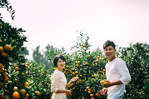 포토 JPG 주간 부부 여자 남자 귤 서기 미소 상반신 성인 야외 두명 옆모습 30대 제주도 농장 다정 한국인 수확 부부라이프 성인만 국내포토 자연요소 라이프스타일 커플 뷰포인트 컨셉 농업 과일 모션 한국 표정 사람 동양인 장년 파일형식