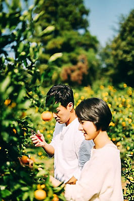 포토 JPG 주간 부부 여자 남자 귤 서기 상반신 성인 야외 두명 옆모습 30대 제주도 농장 다정 한국인 부부라이프 성인만 국내포토 자연요소 라이프스타일 커플 뷰포인트 컨셉 농업 과일 모션 한국 사람 동양인 장년 파일형식