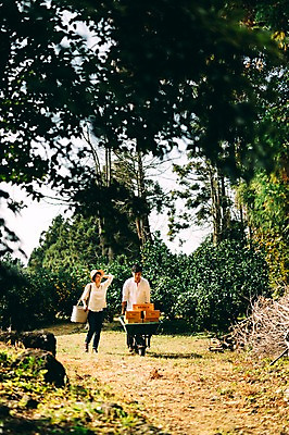 포토 JPG 주간 전신 부부 여자 남자 귤 성인 야외 두명 앞모습 30대 상자 제주도 농장 걷기 다정 수레 한국인 수레끌기 부부라이프 성인만 국내포토 자연요소 라이프스타일 커플 뷰포인트 컨셉 농업 과일 모션 한국 사람 동양인 장년 카트 당기기 파일형식