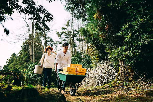 포토 JPG 주간 전신 부부 여자 남자 귤 성인 야외 두명 앞모습 30대 상자 제주도 농장 걷기 다정 수레 한국인 수레끌기 부부라이프 성인만 국내포토 자연요소 라이프스타일 커플 뷰포인트 컨셉 농업 과일 모션 한국 사람 동양인 장년 카트 당기기 파일형식