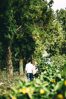 포토 JPG 주간 나무 부부 여자 남자 상반신 성인 야외 두명 앞모습 뒷모습 30대 제주도 농장 걷기 다정 한국인 부부라이프 성인만 국내포토 자연요소 식물 라이프스타일 커플 뷰포인트 컨셉 농업 모션 한국 사람 동양인 장년 파일형식