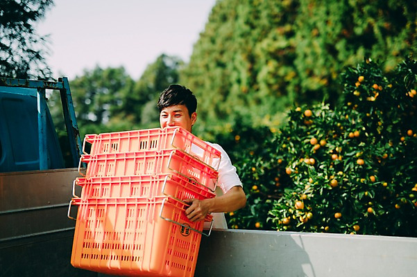 포토 JPG 주간 남자 한명 서기 미소 상반신 성인 야외 앞모습 30대 상자 제주도 농장 한국인 트럭 운반 남자만 성인남자만 국내포토 자연요소 1 뷰포인트 농업 모션 자동차 한국 표정 사람 동양인 장년 성인만 파일형식