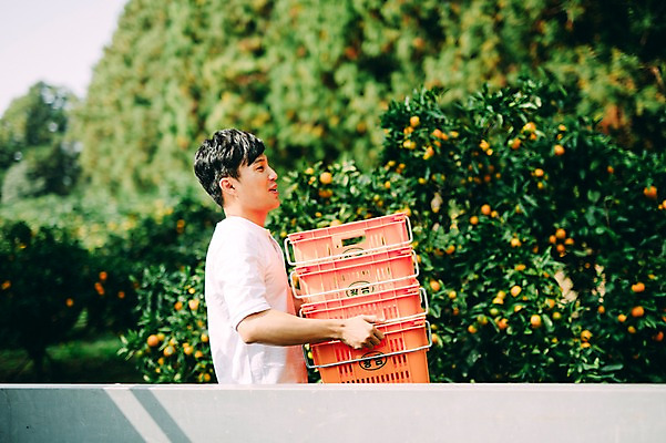 포토 JPG 주간 남자 한명 서기 들기 상반신 성인 야외 옆모습 30대 상자 제주도 농장 한국인 트럭 운반 남자만 성인남자만 국내포토 자연요소 1 뷰포인트 농업 모션 자동차 한국 사람 동양인 장년 성인만 파일형식