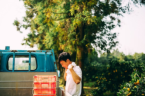포토 JPG 주간 남자 휴식 한명 서기 상반신 성인 야외 옆모습 30대 상자 제주도 농장 한국인 트럭 운반 남자만 성인남자만 국내포토 자연요소 1 뷰포인트 컨셉 농업 모션 자동차 한국 사람 동양인 장년 성인만 파일형식