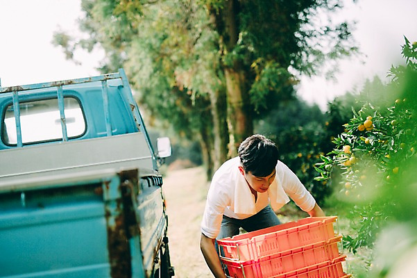 포토 JPG 주간 남자 한명 서기 상반신 성인 야외 앞모습 30대 상자 제주도 농장 한국인 트럭 운반 남자만 성인남자만 국내포토 자연요소 1 뷰포인트 농업 모션 자동차 한국 사람 동양인 장년 성인만 파일형식
