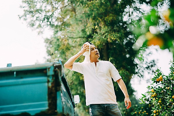 포토 JPG 주간 남자 휴식 한명 서기 상반신 성인 야외 앞모습 30대 상자 제주도 농장 한국인 트럭 남자만 성인남자만 국내포토 자연요소 1 뷰포인트 컨셉 농업 모션 자동차 한국 사람 동양인 장년 성인만 파일형식