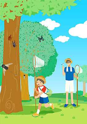 주간 나무 구름 남자 아들 어린이 나비 곤충 일러스트 가족 성인 야외 두명 아빠 잠자리 곤충채집 매미 채집망 장수풍뎅이 채집통 하늘소 국내일러스트 AI파일 자연요소 식물 동물 관계 통 사람 수집 파일형식 벡터