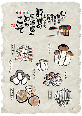 일러스트 식재료 캘리그라피 사람없음 세트 버섯 선술집 일본어 한지 팽이버섯 표고버섯 송이버섯 한지배경 새송이버섯 홍등 국내일러스트 AI파일 문자 종이 백그라운드 등불 술집 파일형식 벡터