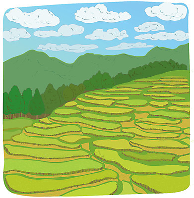 주간 나무 구름 백그라운드 일본문화 일러스트 산 논 풍경 사람없음 야외 일본 계단식 계단식논 국내일러스트 AI파일 자연요소 식물 동양문화 아시아 외국문화 농업 파일형식 벡터