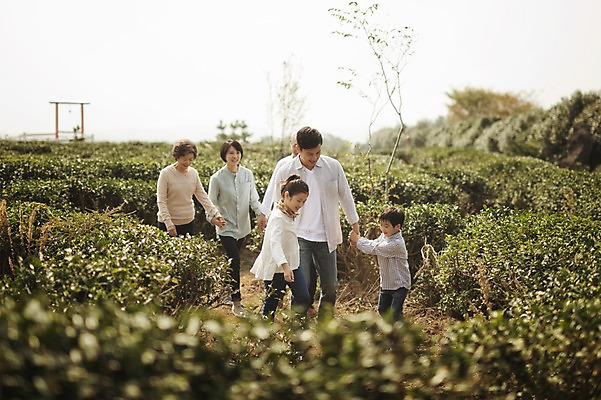 포토 JPG 주간 여자 할아버지 노년 남자 딸 아들 할머니 어린이 가족 엄마 대가족 서기 여러명 상반신 성인 야외 앞모습 10대 30대 제주도 손잡기 화목 한국인 가족라이프 아빠 60대 차밭 도순다원 국내포토 자연요소 라이프스타일 뷰포인트 다수 컨셉 밭 관계 모션 청소년 한국 사람 동양인 장년 파일형식