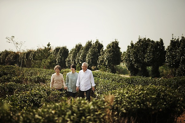 포토 JPG 주간 여자 할아버지 남자 할머니 가족 엄마 서기 미소 상반신 야외 앞모습 세명 제주도 화목 한국인 가족라이프 며느리 시어머니 시아버지 차밭 성인만 도순다원 국내포토 자연요소 라이프스타일 노년 뷰포인트 컨셉 밭 관계 모션 한국 표정 사람 동양인 파일형식 시부모님