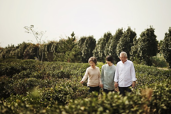 포토 JPG 주간 여자 할아버지 남자 할머니 가족 엄마 서기 미소 상반신 야외 앞모습 세명 제주도 화목 한국인 가족라이프 며느리 시어머니 시아버지 차밭 성인만 도순다원 국내포토 자연요소 라이프스타일 노년 뷰포인트 컨셉 밭 관계 모션 한국 표정 사람 동양인 파일형식 시부모님