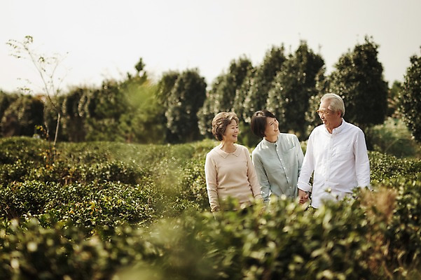 포토 JPG 주간 여자 할아버지 남자 할머니 가족 엄마 서기 미소 상반신 야외 앞모습 세명 제주도 화목 한국인 가족라이프 며느리 시어머니 시아버지 차밭 성인만 도순다원 국내포토 자연요소 라이프스타일 노년 뷰포인트 컨셉 밭 관계 모션 한국 표정 사람 동양인 파일형식 시부모님
