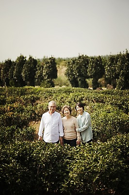 포토 JPG 주간 여자 할아버지 남자 할머니 가족 엄마 서기 미소 상반신 야외 앞모습 세명 제주도 화목 한국인 가족라이프 며느리 시어머니 시아버지 차밭 성인만 도순다원 국내포토 자연요소 라이프스타일 노년 뷰포인트 컨셉 밭 관계 모션 한국 표정 사람 동양인 파일형식 시부모님