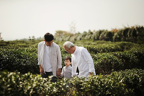 포토 JPG 주간 할아버지 노년 남자 아들 어린이 손자 대가족 서기 상반신 성인 야외 앞모습 세명 제주도 손잡기 화목 한국인 가족라이프 삼대 부자3대 차밭 남자만 도순다원 국내포토 자연요소 라이프스타일 뷰포인트 컨셉 밭 가족 모션 한국 사람 동양인 손주 파일형식