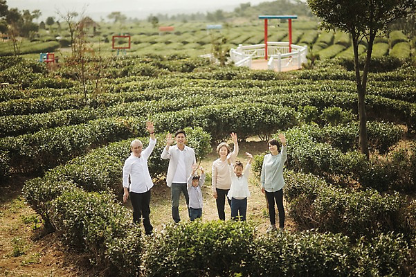 포토 JPG 주간 전신 여자 할아버지 노년 남자 할머니 어린이 가족 엄마 대가족 서기 미소 여러명 성인 야외 앞모습 10대 30대 제주도 화목 한국인 가족라이프 아빠 60대 손인사 차밭 도순다원 국내포토 자연요소 라이프스타일 뷰포인트 다수 컨셉 밭 관계 모션 청소년 한국 표정 사람 동양인 장년 인사 파일형식