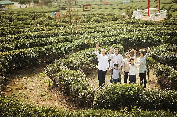 포토 JPG 주간 전신 여자 할아버지 노년 남자 딸 아들 할머니 어린이 가족 엄마 대가족 서기 미소 여러명 성인 야외 앞모습 10대 30대 제주도 화목 한국인 가족라이프 아빠 60대 손인사 차밭 도순다원 국내포토 자연요소 라이프스타일 뷰포인트 다수 컨셉 밭 관계 모션 청소년 한국 표정 사람 동양인 장년 인사 파일형식