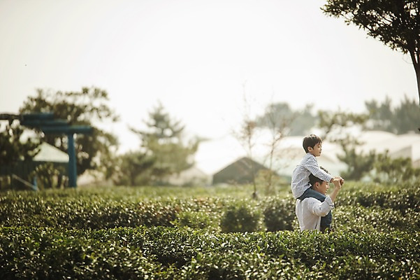 포토 JPG 주간 남자 아들 어린이 가족 서기 상반신 성인 야외 두명 옆모습 30대 제주도 화목 다정 한국인 가족라이프 목말 아빠 즐거움 차밭 부자지간 남자만 도순다원 국내포토 자연요소 라이프스타일 감정 뷰포인트 컨셉 밭 관계 모션 한국 사람 동양인 장년 파일형식
