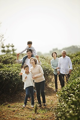 포토 JPG 주간 전신 여자 할아버지 노년 남자 딸 아들 할머니 어린이 가족 엄마 대가족 여러명 성인 야외 앞모습 10대 30대 제주도 걷기 화목 한국인 가족라이프 목말 아빠 60대 즐거움 차밭 도순다원 국내포토 자연요소 라이프스타일 감정 뷰포인트 다수 컨셉 밭 관계 모션 청소년 한국 사람 동양인 장년 파일형식