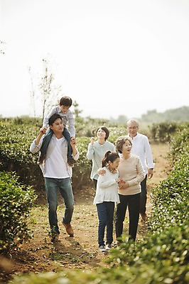 포토 JPG 주간 전신 여자 할아버지 노년 남자 딸 아들 할머니 어린이 가족 엄마 대가족 여러명 성인 야외 앞모습 10대 30대 제주도 걷기 화목 한국인 가족라이프 목말 아빠 60대 즐거움 차밭 도순다원 국내포토 자연요소 라이프스타일 감정 뷰포인트 다수 컨셉 밭 관계 모션 청소년 한국 사람 동양인 장년 파일형식