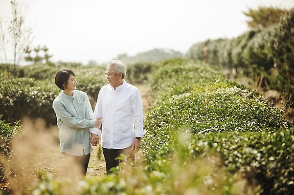 포토 JPG 주간 여자 할아버지 노년 남자 가족 서기 상반신 성인 야외 두명 앞모습 30대 제주도 팔짱 화목 다정 한국인 가족라이프 60대 며느리 시아버지 차밭 도순다원 국내포토 자연요소 라이프스타일 뷰포인트 컨셉 밭 관계 모션 한국 사람 동양인 장년 파일형식 시부모님