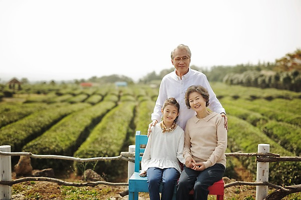 포토 JPG 주간 여자 할아버지 노년 남자 할머니 어린이 가족 손녀 서기 미소 앉기 상반신 야외 앞모습 10대 세명 제주도 화목 한국인 가족라이프 60대 차밭 도순다원 국내포토 자연요소 라이프스타일 뷰포인트 컨셉 밭 관계 모션 청소년 한국 표정 사람 동양인 성인 손주 파일형식