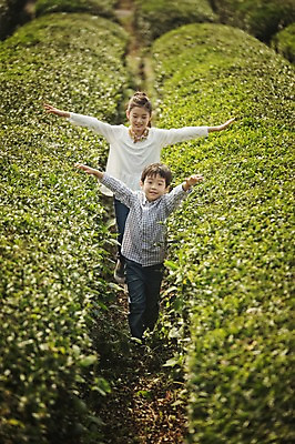 포토 JPG 주간 전신 여자 남자 어린이 가족 팔벌리기 남매 야외 두명 앞모습 10대 제주도 걷기 화목 한국인 가족라이프 즐거움 차밭 어린이만 도순다원 국내포토 자연요소 라이프스타일 감정 뷰포인트 컨셉 밭 관계 모션 청소년 한국 사람 동양인 파일형식