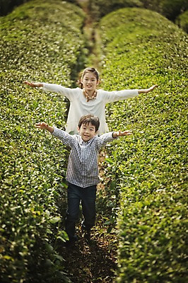 포토 JPG 주간 전신 여자 남자 어린이 가족 팔벌리기 남매 야외 두명 앞모습 10대 제주도 걷기 화목 한국인 가족라이프 즐거움 차밭 어린이만 도순다원 국내포토 자연요소 라이프스타일 감정 뷰포인트 컨셉 밭 관계 모션 청소년 한국 사람 동양인 파일형식